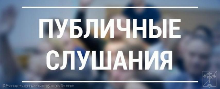 Результаты публичных слушаний по проекту бюджета муниципального округа город Партизанск Приморского края на 2026 год и на плановый период 2027 и 2028 годов