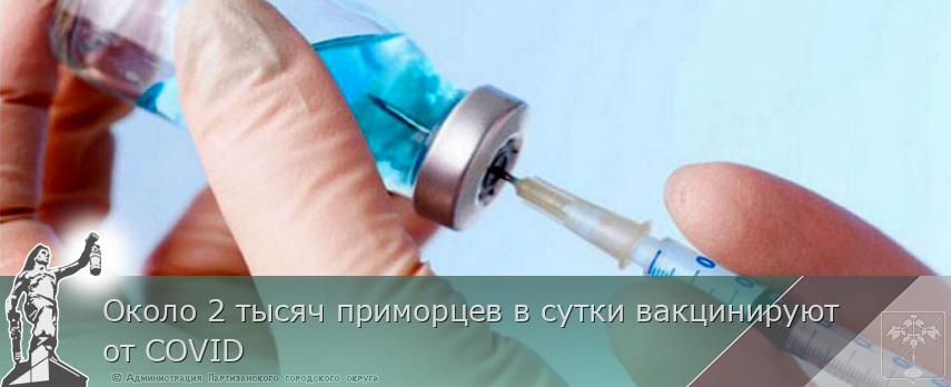 Около 2 тысяч приморцев в сутки вакцинируют от COVID | Администрация муниципального округа город Партизанск Приморского края Официальный сайт