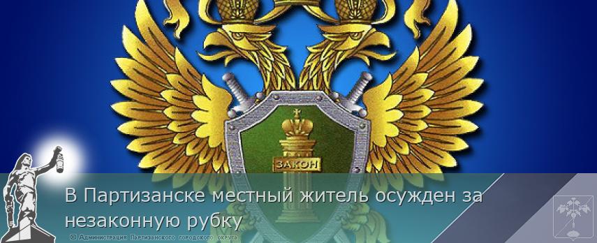 В Партизанске местный житель осужден за незаконную рубку | Администрация муниципального округа город Партизанск Приморского края Официальный сайт