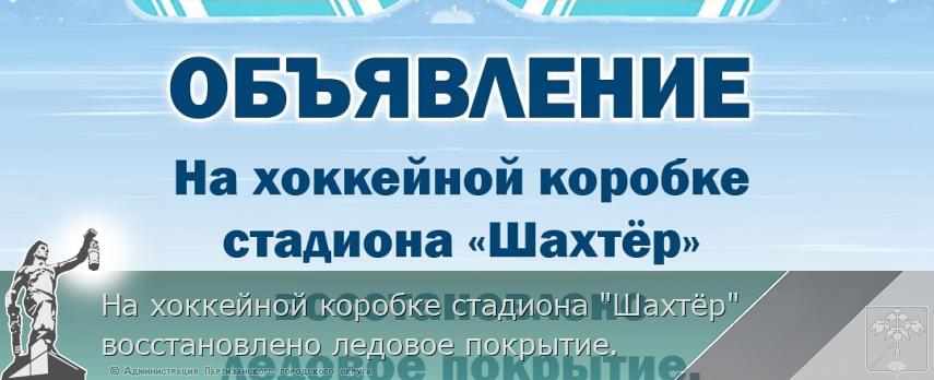 На хоккейной коробке стадиона "Шахтёр" восстановлено ледовое покрытие.  | Администрация муниципального округа город Партизанск Приморского края Официальный сайт